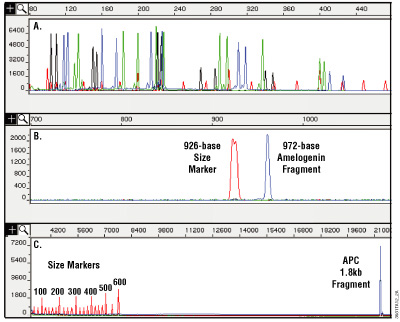 DNA Purification | DNA Extraction Methods | Promega