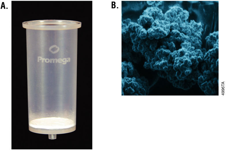 Images of two Promega silica purification matrices. Panel A.</strong></p>
<p>A PureYieldTM Midiprep binding column. The membrane is present at the bottom of the column. Panel B. An electron micrograph of MagneSil PMPs