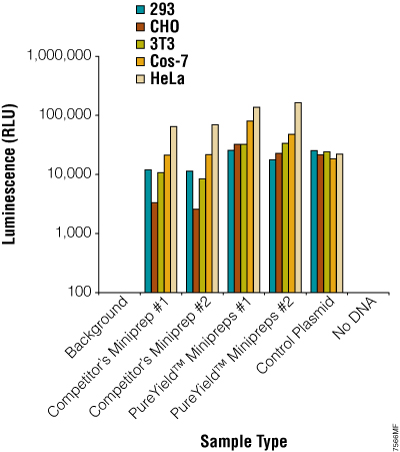 Transfection efficiency of plasmids purified with various methods