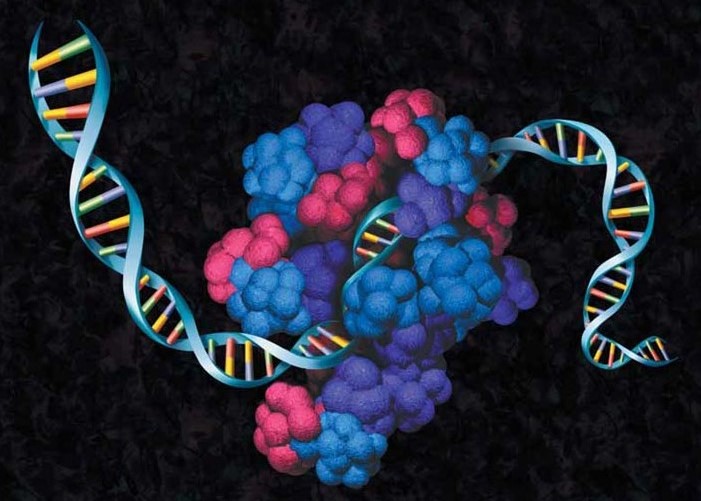 Protein Expression Guide I An Introduction To Protein Expression Methods Promega