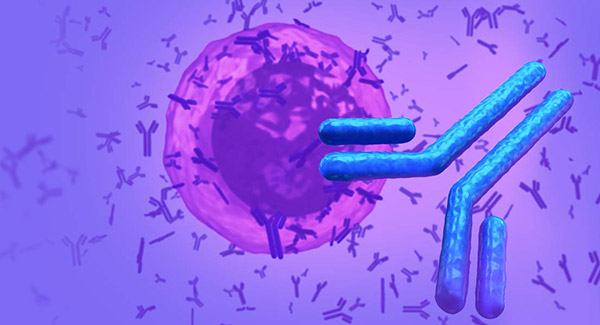 免疫治疗候选抗体开发的快速抗体选择方法