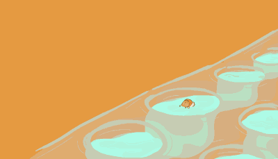 A small, sleeping cell floats in a well on a plate