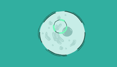 A plasmid moves inside of a cell