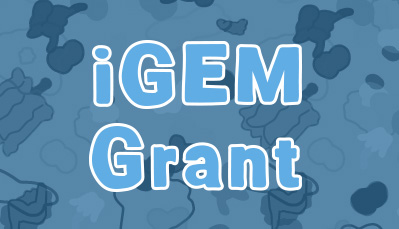 Illustration with "iGem Grant"