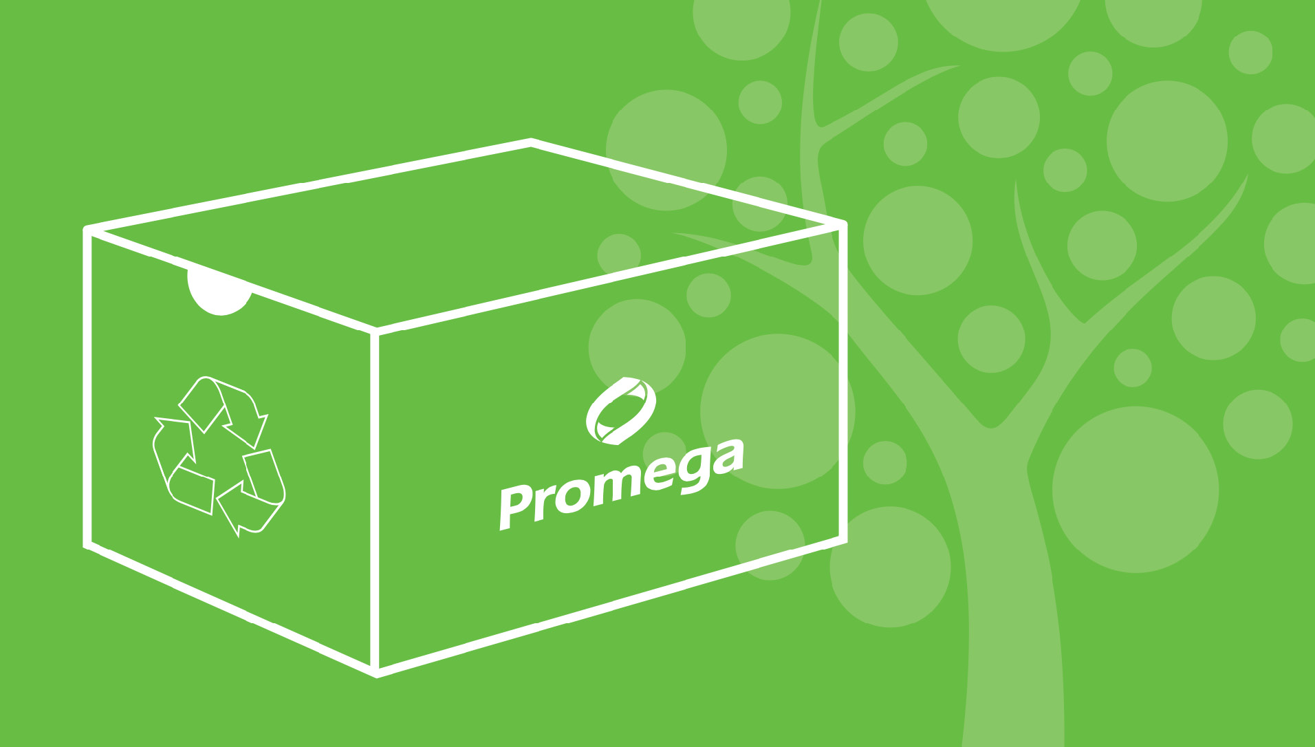 A cartoon image of a green Promega box sits in front of a green background