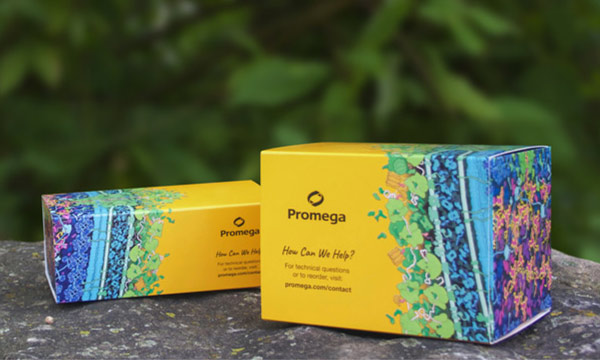 Two Promega kit boxes made of sustainable box packaging 