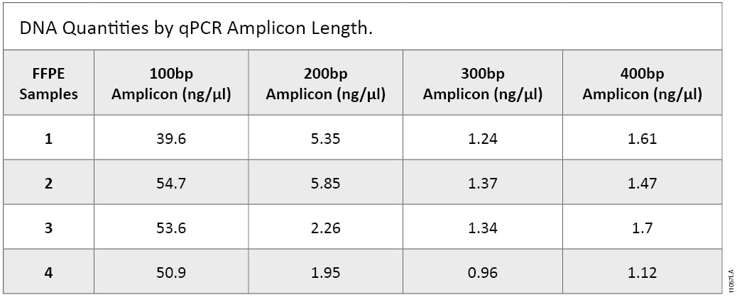 DNA quantities by amplicons length in a qPCR amplification.