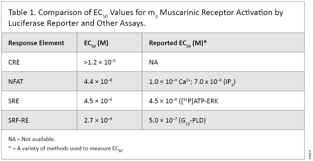 荧光素酶报告法与其他测定法对m3毒蕈碱受体活化的EC50值比较。