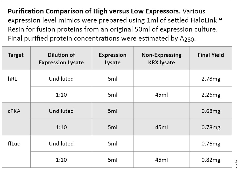 Purification Comparison of High Versus Low Expressors.