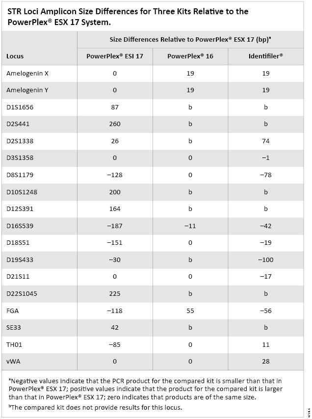 STR Loci Amplicon Size Differences for Three Kits Relative to the PowerPlex ESX 17 System