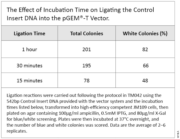 The Effect of Incubation Time on Ligating the Control Insert DNA into the pGEM-T Vector.