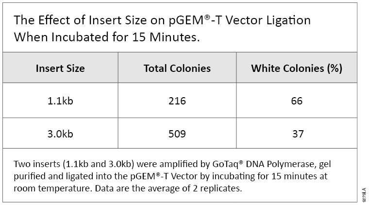 The Effect of Insert Size on pGEM-T Vector Ligation.