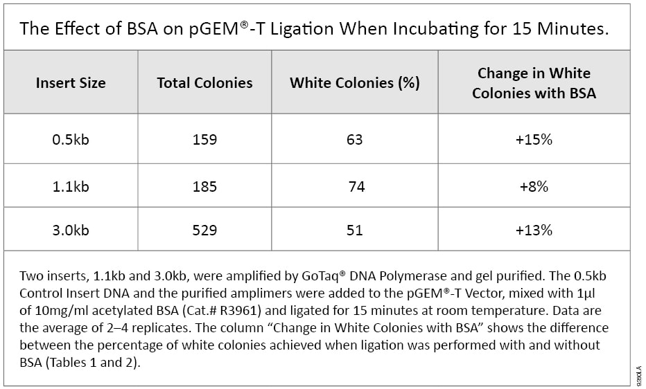 The Effect of BSA on pGEM-T Ligation When Incubating for 15 Minutes.