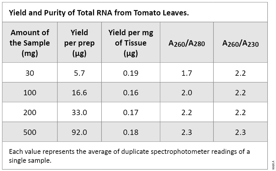 Yield and Purity of Total RNA from Tomato Leaves.