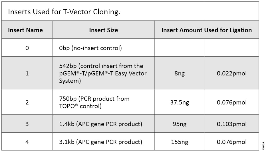 Inserts Used for T-Vector Cloning.
