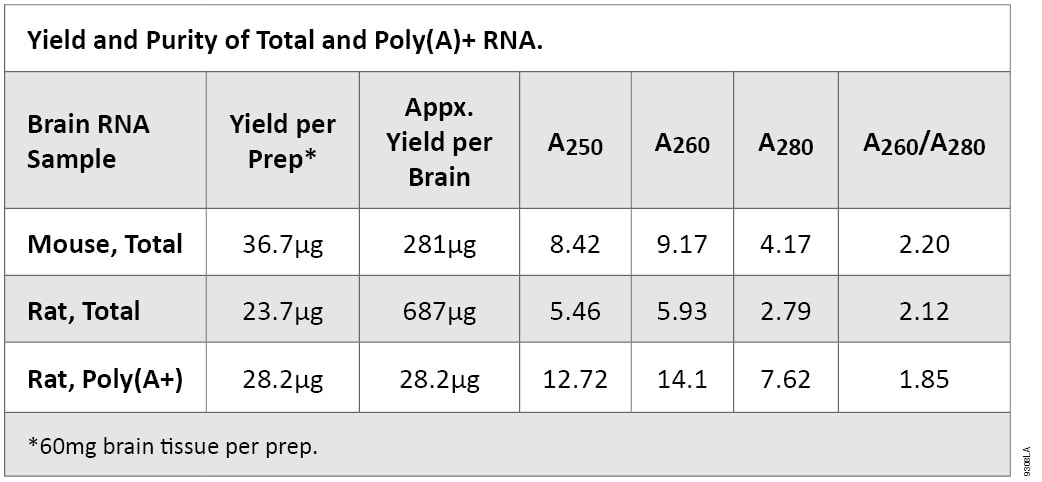 Yield and Purity of Total and Poly(A)+ RNA