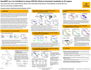 intracellular-availability-poster-tb