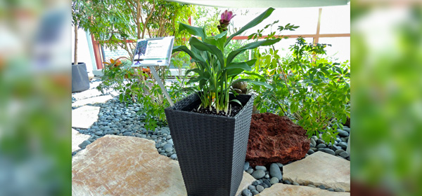 Planter Made from Recycled Nitrile Gloves