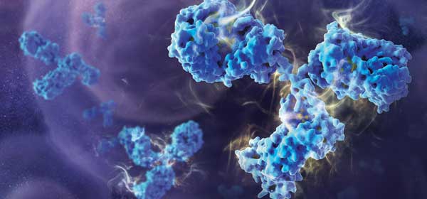 Antibody 3D Representation