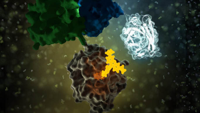 nanoluctechnologysupage-proteinprotein-interactions-nanobret