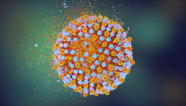 hepatitisc-viral-particles