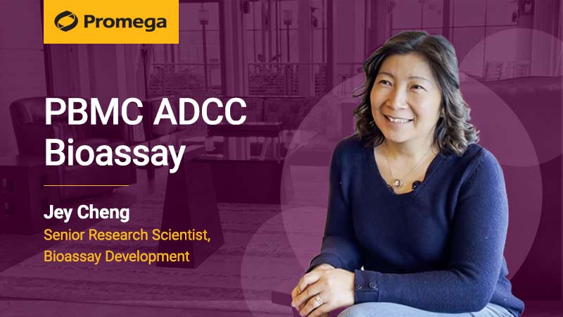 PBMC ADCC Assay Interview With Jey Cheng